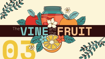 The Vine and The Fruit 3