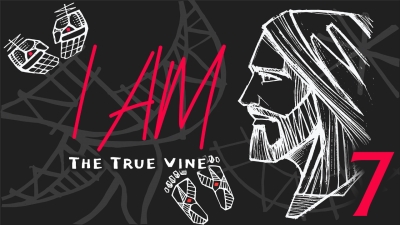 I Am: The True Vine