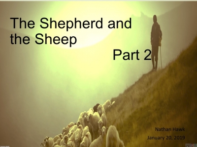 The Shepherd and the Sheep Part 2